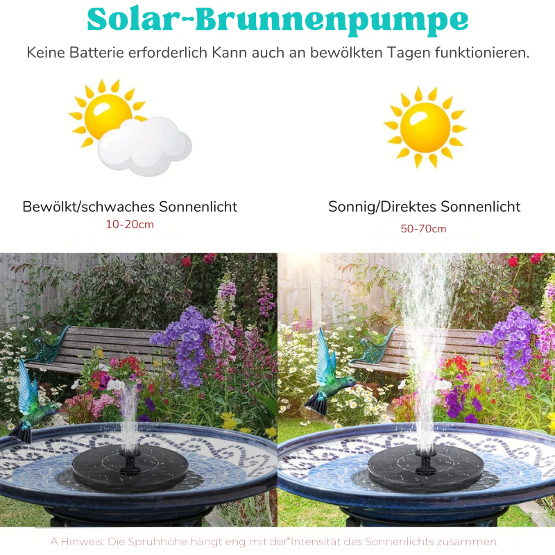 SunBath™ | Bomba solar para fuente de baño para pájaros